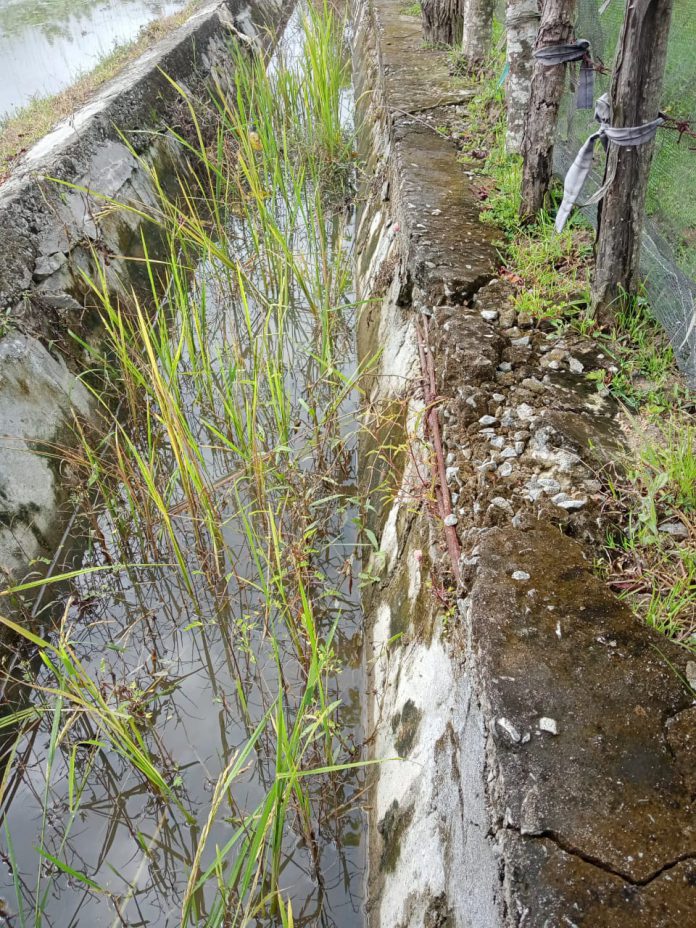 Pekerjaan pembangunan proyek Rehabilitasi Saluran Daerah irigasi Salompang,