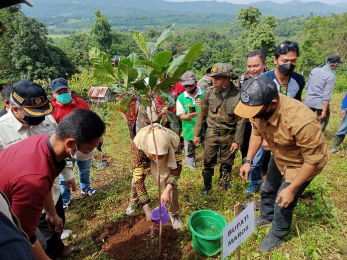 Wakil Bupati Maros Hj Suhartina Menanam Pohon Didampingi Camat Tompobulu