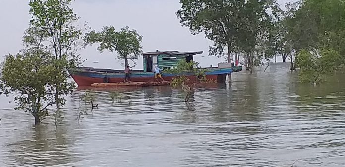 Kayu Olahan Sering Masuk ke Sawang, Tak Pernah Tersentuh Aparat Penegak Hukum