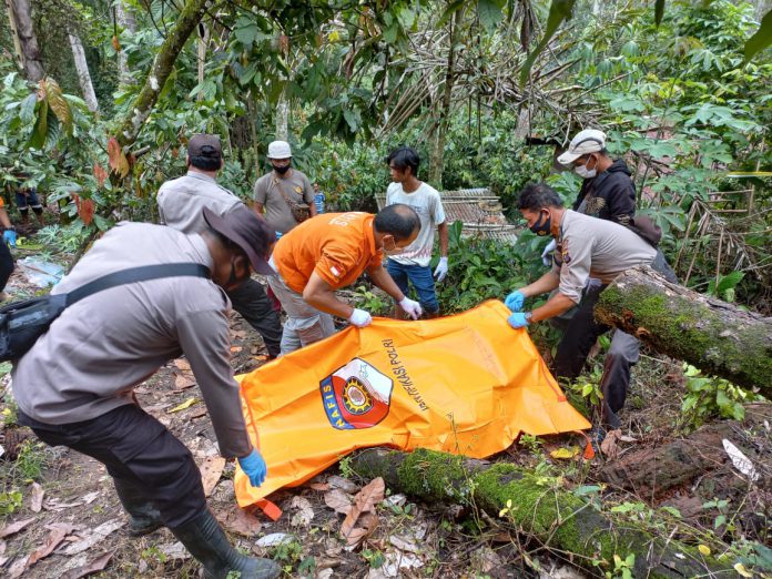 Wanita tua ditemukan tewas terpanggang di desa perladangan desa juhar