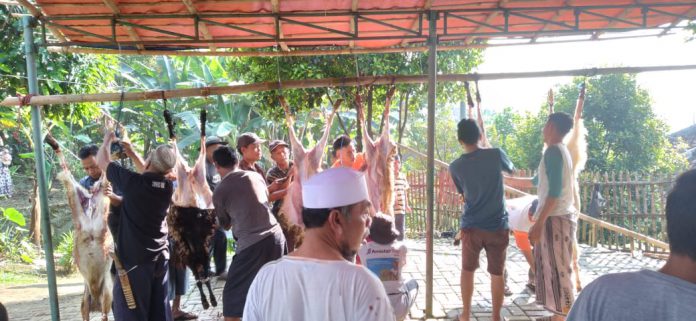 Di Masjid Al Hidayah, Cipelang, Bogor tempat pemotongan hewan Qurban ada 10 ekor kambing yang dipotong.