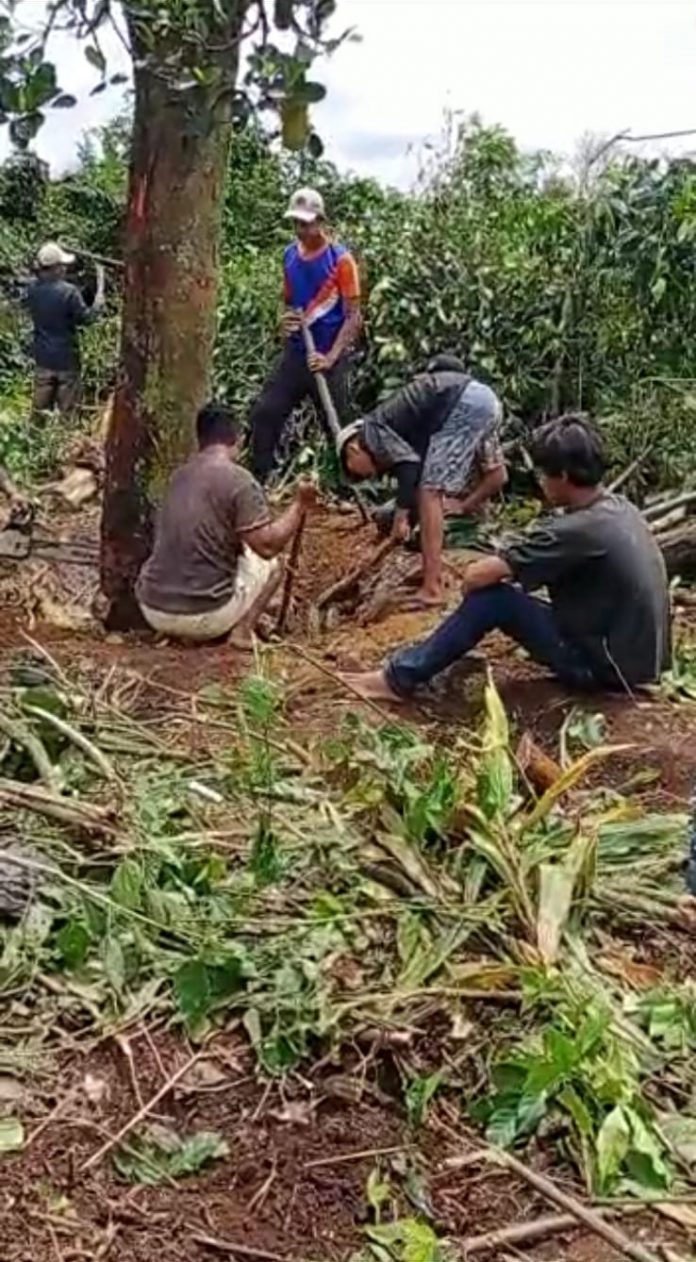 Tampak masyarakat dan Karang Taruna Desa Salit melakukan kegiatan Pembukaan lahan jalan desa