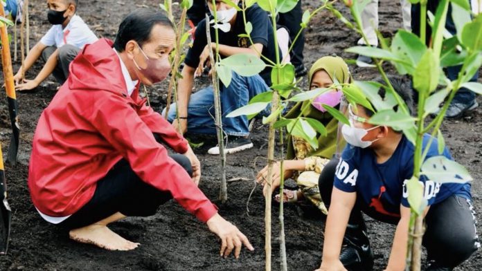 Presiden Joko Widodo saat menanam pohon mangrove bersama masyarakat di Pantai Setokok, Kecamatan Bulang, Kota Batam, Provinsi Kepulauan Riau, Selasa (28/09/2021).