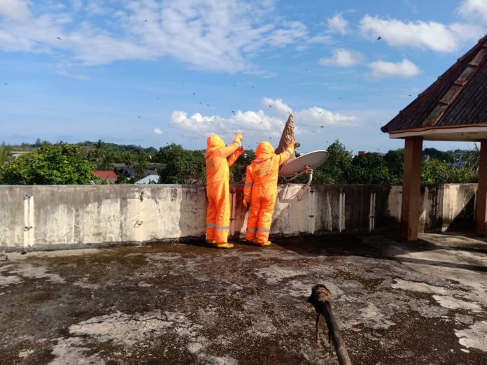 Petugas Pemadam Kebakaran (Damkar) UPT Kijang mengevakuasi Sarang Tawon yang berada di Kijang, Kecamatan Bintan Timur, Selasa (16/11/2021). (Fot: Damkar UPT Kijang)