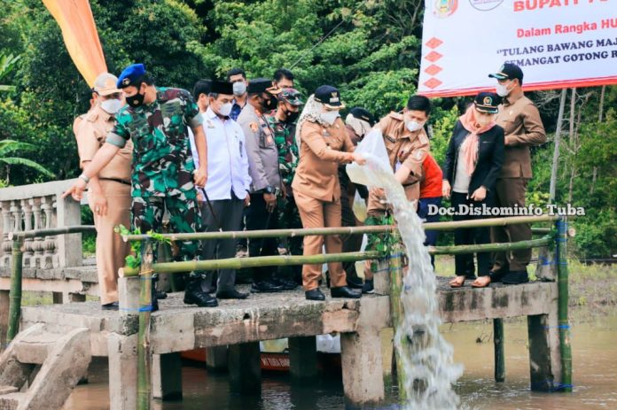 Bupati Winarti Saat Melakukan Penebaran Benih Ikan, Selasa (1/3/2022). Dokumentasi: Kominfo Humas Tuba.